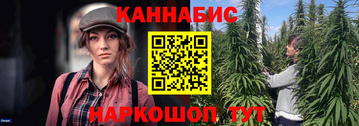 Бошки марихуана сатива Артёмовский